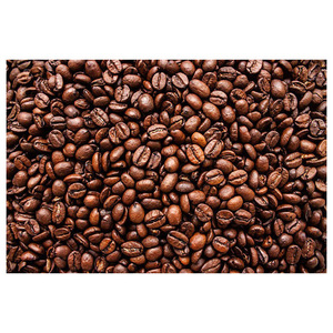 Café Arabica de qualité export pour importateurs, grossistes, distributeurs et fabricants de café - Product Image 6