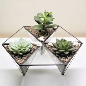 Exclusive Indoor Metal Terrarium Glass Planter Stylish Plant <b>Display</b> <b>Case</b> Geometric Home Decor Accent - Product Image 1