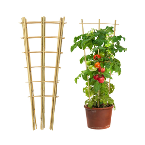 Arche de treillis de jardin en bambou vietnamien en gros, treillis en forme d'éventail pour plantes grimpantes - Prix B2B - Product Image 2