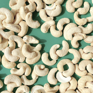 Noix de cajou brutes de haute qualité en gros WW180, WW240, WW320, LP, exportées vers les États-Unis, l'UE et le Moyen-Orient - Product Image 1