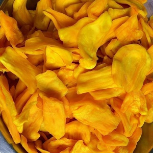 ขนุนอบแห้งแบบนุ่ม ขนุนอบแห้งจากโรงงานเวียดนาม บรรจุในถุงขนาด 100 กรัม/250 กรัม/500 กรัม/5 กิโลกรัม ขายส่ง - Product Image 1