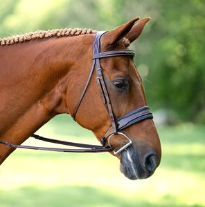 Brida de Cuero para Caballo al por Mayor con Riendas, Resistente, Duradera y Cómoda para Entrenamiento y Competición - Product Image 4