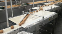 Ligne de production de gâteaux Yufeng/usine de gâteaux automatique/équipement d'usine de boulangerie