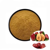 OEM ODM Pure Rode Dadelpoeder Premium Jujube Superfood Poeder voor Smoothies, Bakken, Thee & Kruidenwelzijn Ondersteuning uit India