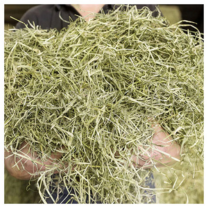 Heno de Timothy, Heno Natural a Granel para Animales Pequeños, Distribución Mayorista a Nivel Mundial - Product Image 5