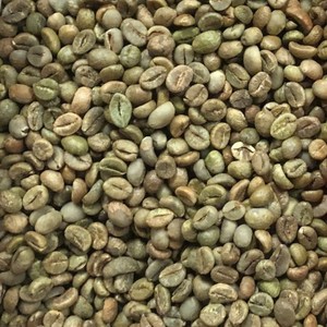 Grains de café vert Robusta de qualité supérieure pour torréfaction et brassage d'espresso, tamis 16, provenant de fermes des Hautes-terres du Vietnam - Product Image 5