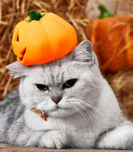Eco-Friendly Pumpkin Rubber Halloween Pet Chew Toy Interactive Squeaky Outdoor <b>Fun</b> Size with Rubber Sound for Dogs Cats - Product Image 4