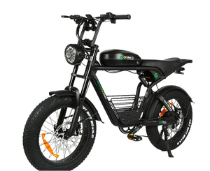 Nouveauté 2026 - Vélo électrique GM Pro 1 - Livraison gratuite dans le monde entier - Product Image 1