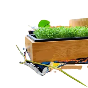 Kit de sistema de jardín de interior hidropónico fresco para cultivo de plantas de jardín de interior, bandeja de microgreens, Kit de cultivo de brotes de hierba para niños culinarios