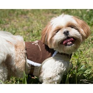 Imbracatura e Guinzaglio Regolabili per Cani, Accessorio Resistente per Animali Domestici - Product Image 4