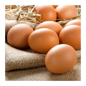 Huevos de Mesa Marrones Frescos de Granja, Proveedor al por Mayor, Alta Calidad - Product Image 5
