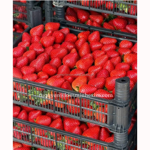 Fraises surgelées IQF en gros, entières, couleur vive, saveur naturelle, emballage en vrac 10 kg, marque KMI, du Vietnam - Product Image 2