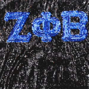Zeta Phi Beta <b>Sequin</b> T Shirt Black Greek Letter Tee Short Sleeve Sorority Apparel Sparkle Stylish Cotton <b>Top</b> Premium Fit - Product Image 6