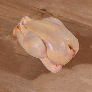 Pollo Entero Congelado de Primera Calidad Halal en Oferta, Pollo Entero Congelado Fresco para Exportación, Suministro al por Mayor a Precio Competitivo - Product Image 5