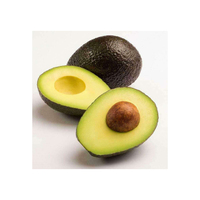 Verse avocado's, Hass avocado's te koop, rijke groene premium tropische avocado's uit Peru, verpakt in doos, hoogwaardige kwaliteit.