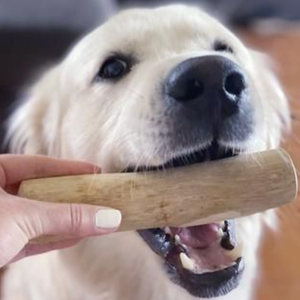 Bâton à mâcher pour chien en bois de café, robuste, naturel, durable, biologique, jouet classique pour chien, pour mâcheurs agressifs, chiens de grande race - Product Image 6