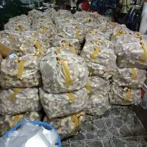 99 GD ข่าแช่แข็ง ยี่ห้อ Frozen Galangal บรรจุภัณฑ์แบบกำหนดเอง รากข่าผ่านกระบวนการ IQF/BQF ทำความสะอาดและปอกเปลือก ข่าขายดี ปี 2026 - Product Image 6