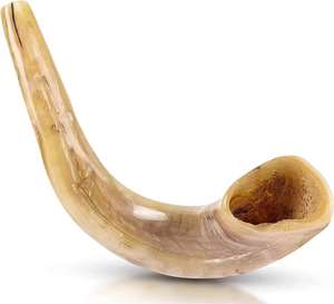 Shofar de Cuerno de Carnero de Primera Calidad, 25 cm de Largo, Semi-Pulido, Sonido Natural |   Instrumento Musical Único - Product Image 2