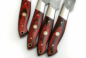 04-Piece Handmade Damascus Steel <b>Drop</b> Point Straight <b>Back</b> Multi-Functional Steak Knife Set Wood Handles Industrial Grade 3-Year - Product Image 3