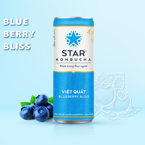 Hot Selling Blueberry Bliss Kombucha Drink 250ml Star Kombucha Brand Fermented Tea <b>Beverage</b> Competitive Price Wholesale Export - Product Image 2