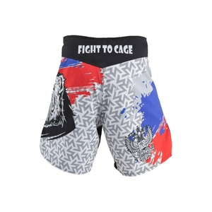 Shorts MMA pour hommes, imprimés, taille élastique, entraînement en salle de sport, kickboxing, légers, séchage rapide, colorés, arts martiaux MMA pour hommes - Product Image 6