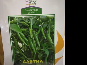 เมล็ดพริกสำหรับการเพาะปลูกเพื่อการเกษตร ให้ผลผลิตสูง อายุการเก็บรักษา 12 เดือน ยี่ห้อ Cradle of Life - Product Image 2