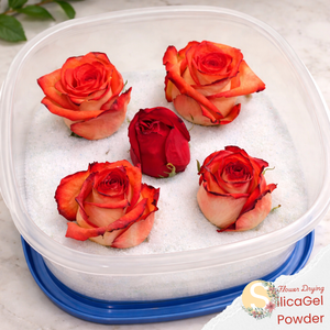 Poudre de gel de silice pour séchage des fleurs 1000g - Absorbeur d'humidité de qualité supérieure pour une conservation durable, naturelle et sûre des fleurs fraîches - Product Image 1