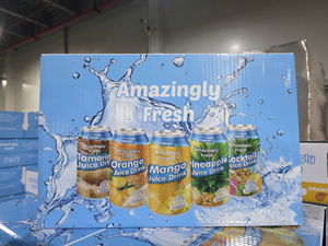 Jus de fruits Tan Do de marque FACTORY BRAND, disponible en canettes aluminium de 330 ml, prix EXW, produit à circulation rapide. - Product Image 3