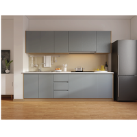 Armoires de cuisine écologiques et durables en contreplaqué, MDF et panneaux de particules avec poignées métalliques, montage mural pour appartement - Design moderne