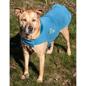 Chaqueta Convertible 2 en 1 para Perro Helios Lotus Rusher, Impermeable con Tecnología Blackshark, Ropa para Mascotas - Product Image 6