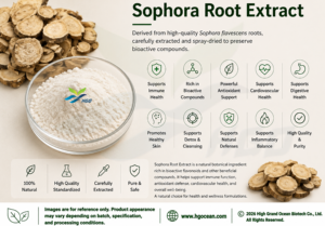 Suministro Directo de Fábrica HGO de Extracto Puro y Natural de Raíz de Sófora, Grado Alimenticio, Matrina 90%, Extracto Estandarizado - Product Image 2