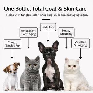 Hot Selling Anti-Aging Firming Organic Marula Oil Anti-Shedding Pet Shampoo for Dogs Cats Deodorizing Hypoallergenic Coat Repair - Product Image 4