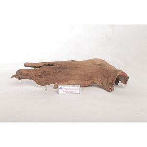 Decoración de Acuario de Madera Flotante Natural de Forma Irregular, Adorno Duradero para Pecera, Estilo Simple, Hecho en Vietnam - Product Image 1
