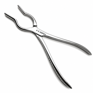 Équipement chirurgical, instrument orthopédique vétérinaire, forceps à pointe fine Walsham pour septum, 215 mm, en vente en ligne - Product Image 3