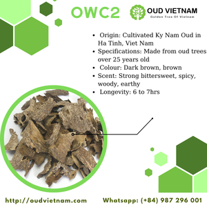 ไม้กฤษณาเวียดนามชนิดชิปส์ เกรด AA Plus เรซินเข้มข้น โอว์ด OWC2 ขายส่ง B7-041 - Product Image 4