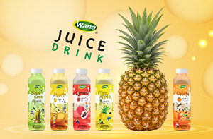 Bebida de Jugo de Sandía 500ml Botella PET Saludable Certificada ISO Bebida de Vietnam - Product Image 2