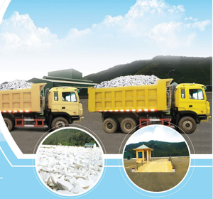 Suministro de fábrica: Polvo de carbonato de calcio (GCC) ultrafino recubierto para moldeo, fibra, masterbatch de grado película y accesorios para herramientas eléctricas. - Product Image 4