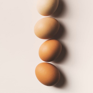 ไข่ไก่สีน้ำตาลสด ไข่ไก่สำหรับรับประทาน ขายส่งราคาถูก - Product Image 5