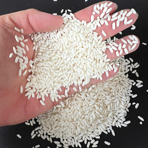 [Keith Vilaconic] Long Grain Glutinous <b>Rice</b> Sticky Quality for Export Bulk | Riz Gluant Long Grain - Product Image 5
