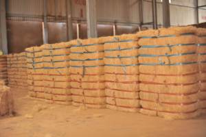 Fibras de Coco Sostenibles en Pacas: Fibra Cruda Ecológica Premium para Hilado, Fabricación de Colchones y Agricultura - Product Image 1