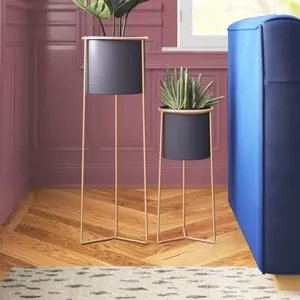 Modern Metal Flower Stands with Gold <b>Frame</b> and Black Pots for Indoor <b>Plants</b> Minimalist Design - Product Image 2