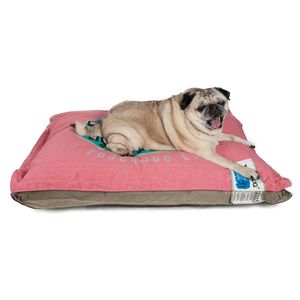 Tappetino Sportivo Spesso per Cani, Reversibile Rettangolare con Cuscinetti Antiurto Cuciti per Animali Domestici - Product Image 1