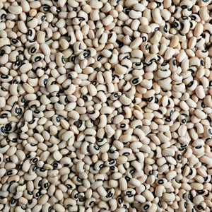 Ready to Ship Premium Quality Wholesale White Kidney <b>Beans</b> Food Grade Bulk Supply Top Quality OEM Service for B2B Buyers - Product Image 5
