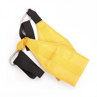 Sangles de suspension AB réglables pour entraînement abdominal et exercices des bras, compatibles barre de traction