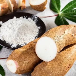 แป้งมันสำปะหลังเวียดนามคุณภาพสูง ยอดขายดี บริสุทธิ์ อเนกประสงค์ ดีต่อสุขภาพ เหมาะสำหรับการแปรรูปอาหารและการส่งออก - Product Image 1