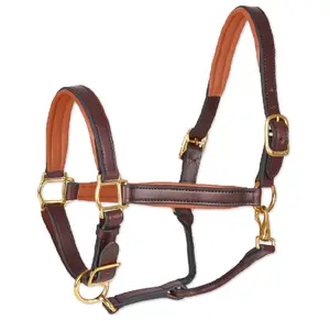 Top Premium Horse Halter for Natural Horsemanship English Leather Halter Training Manufacturing From India