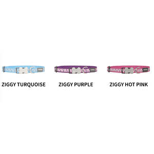 RedDingo Reflective Ziggy Bucklebone <b>Collar</b> for Dogs Orange (Large) - Product Image 2