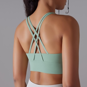 Sujetadores Deportivos Ajustables Personalizados para Mujer, Ropa Interior de Yoga, Cierre Frontal, Sujetador Deportivo con Push-Up para Correr - Product Image 5