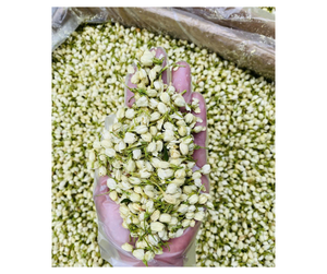 Botones de Jazmín Secos de Alta Calidad, Origen Vietnam - Flor para Té Herbal, Venta al Por Mayor para Exportación - Product Image 3