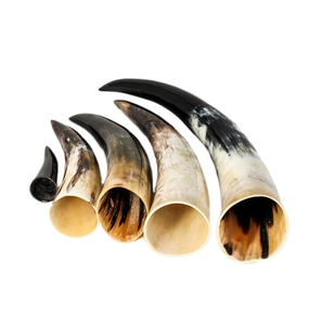 Corne de buffle naturelle de forme naturelle, artisanat viking avec support, style poli, directement d'Inde, corne à boire - Product Image 2